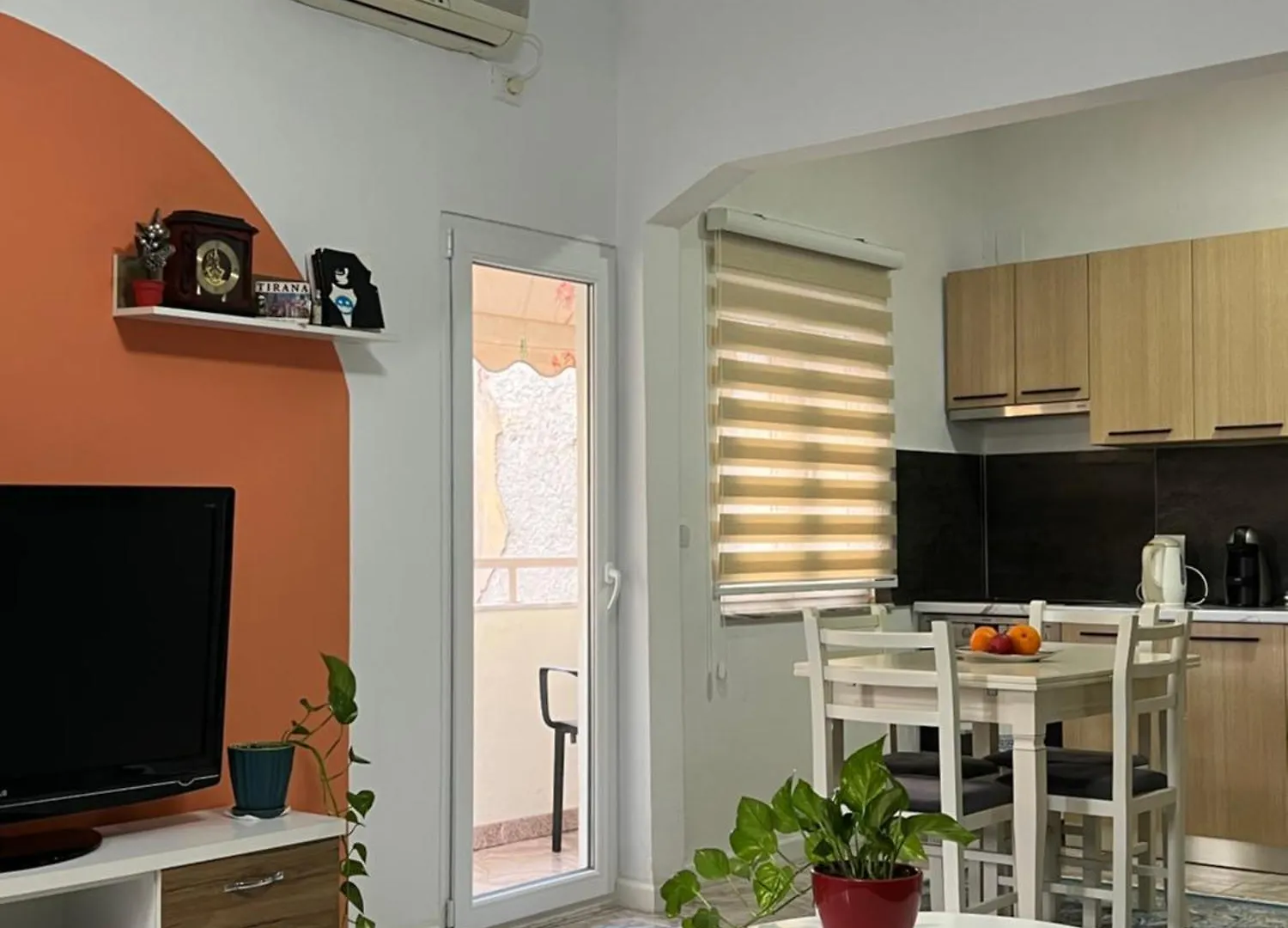 Vibrant & Central Tirana Oasis contacts